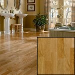 Best Distributors For Witex Laminate Flooring