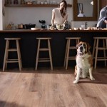 Creating A Dog Friendly Home With Laminate Flooring