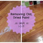 Do You Remove Paint From Hardwood Floors