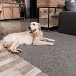 Finding The Right Flooring For Your Dog