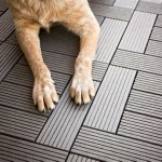 What Vinyl Flooring Is Not Toxic To Dogs In Taiwan For